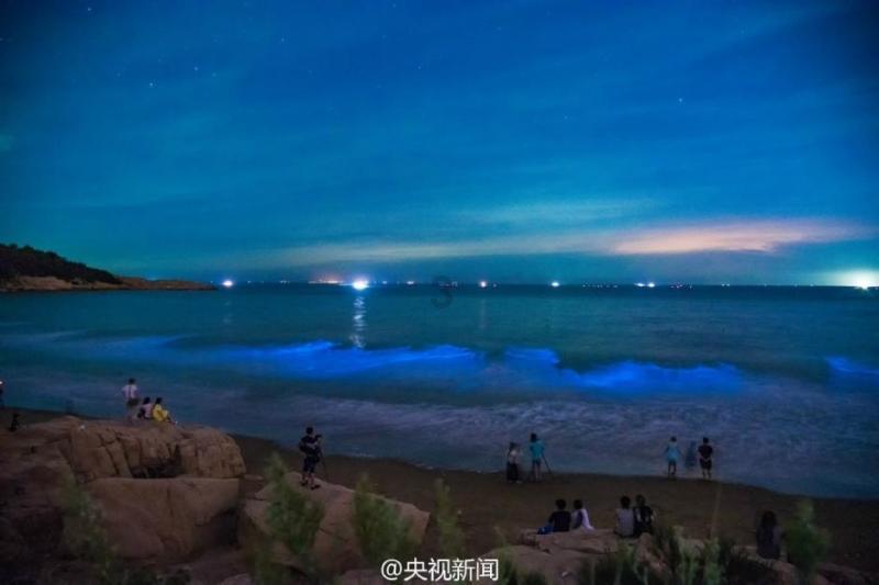 咋炒土豆丝？游戏画面